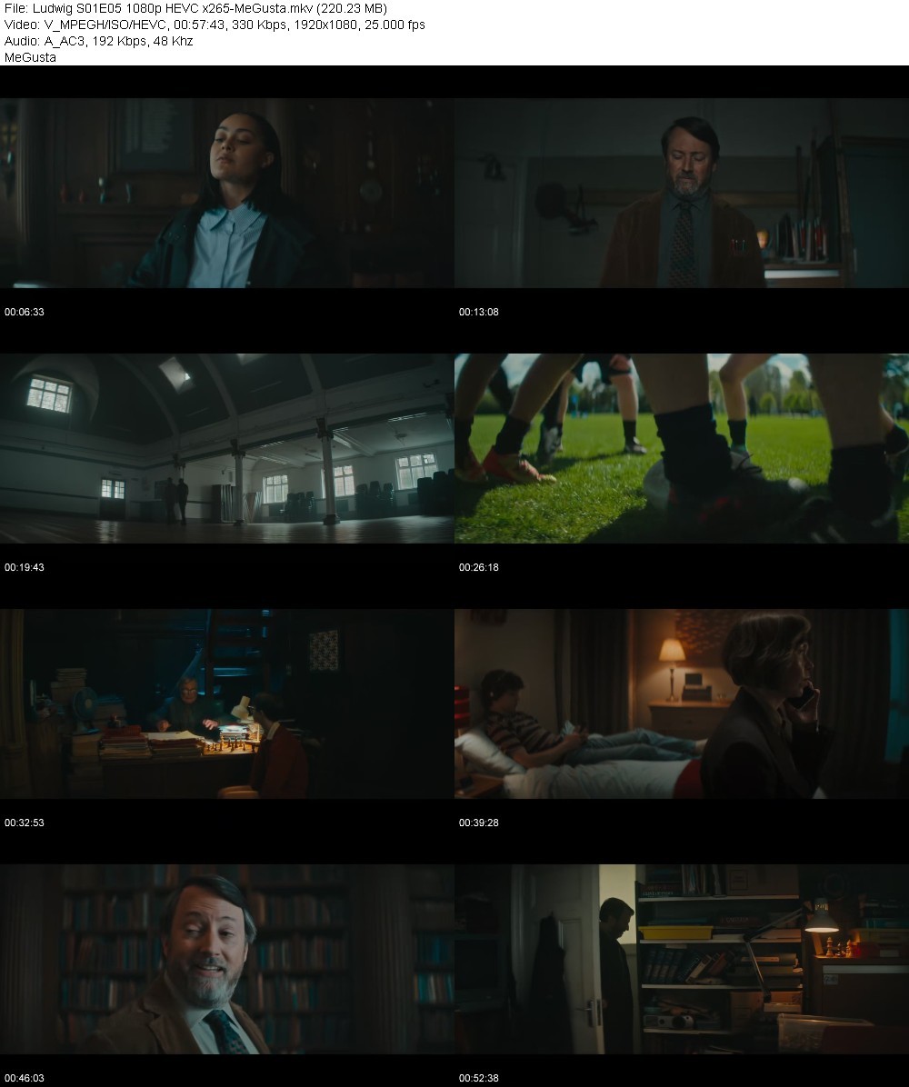 Ludwig S01E05 1080p HEVC x265-MeGusta