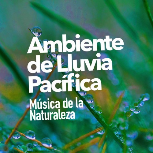 Relajacion del Mar - Ambiente de Lluvia Pacífica - 2019