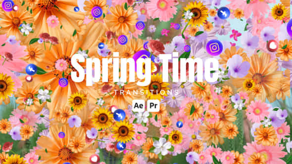 Spring Time Transitions - VideoHive 50823501