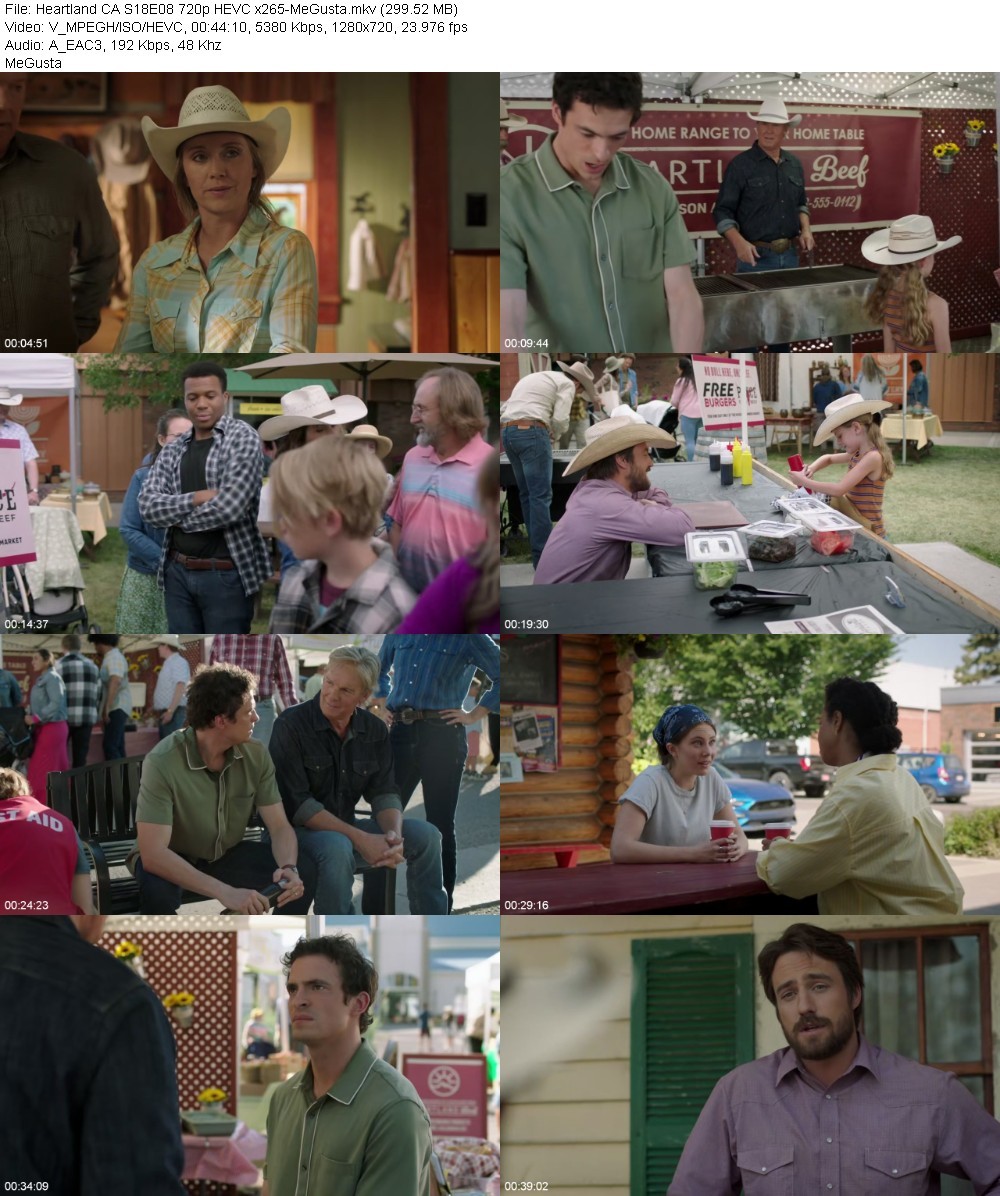 Heartland CA S18E08 720p HEVC x265-MeGusta