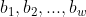 b_1,b_2,...,b_w