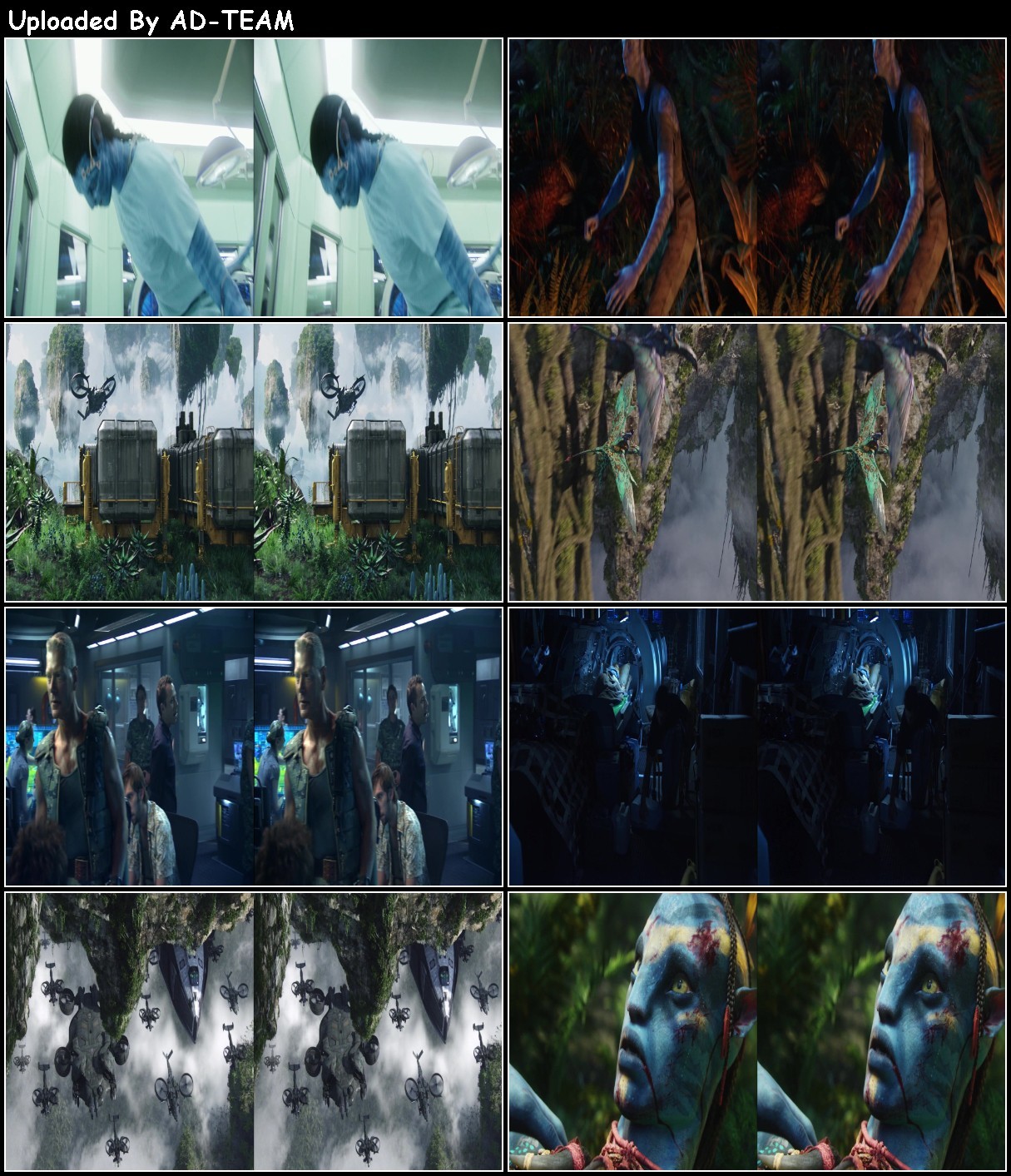 Avatar 2009 EXTENDED 1080p 3D BluRay Half-SBS x264 DTS-HD MA 5 1-RARBG Txw4PKeC_o