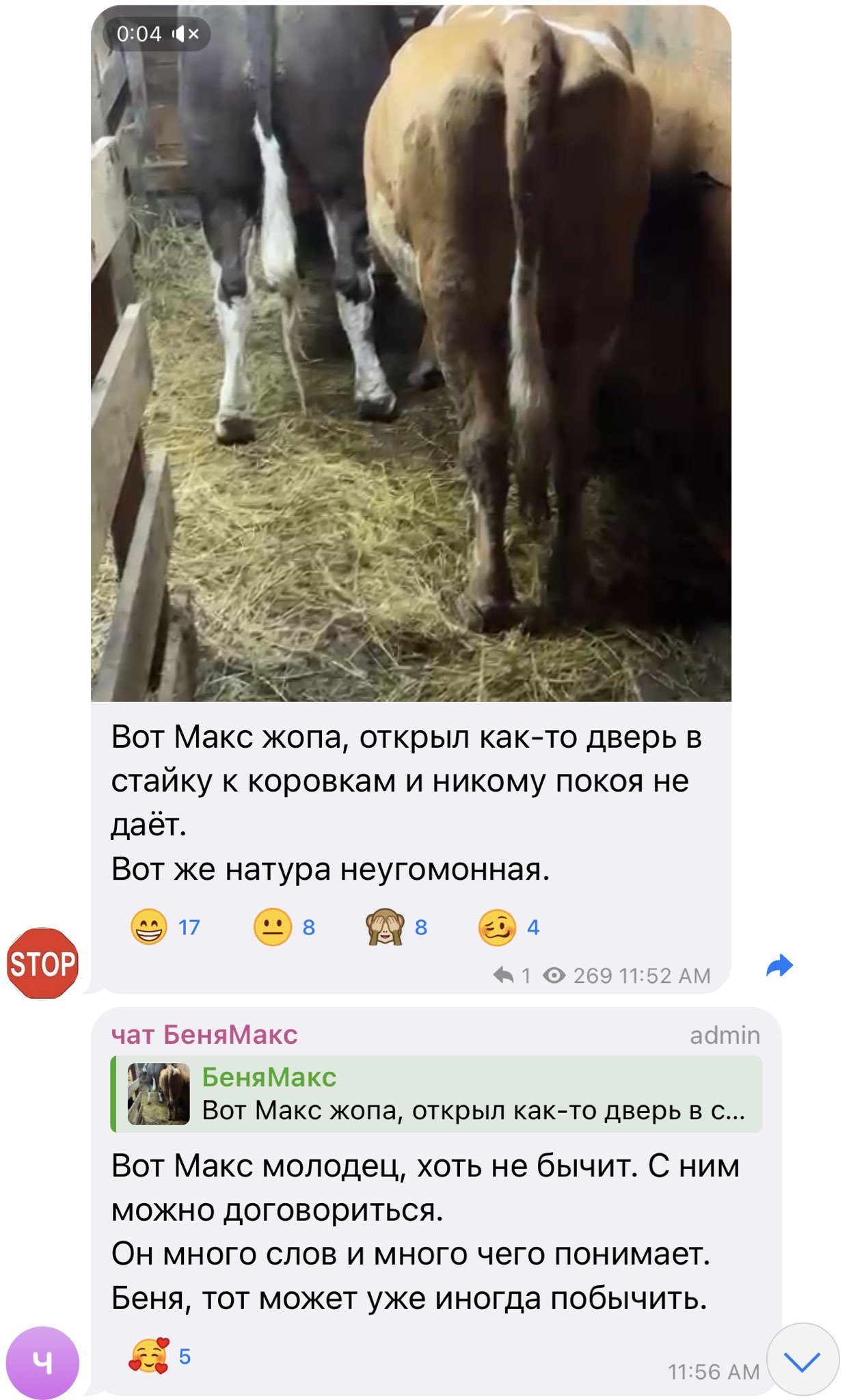 rTRWgskc_o.jpeg