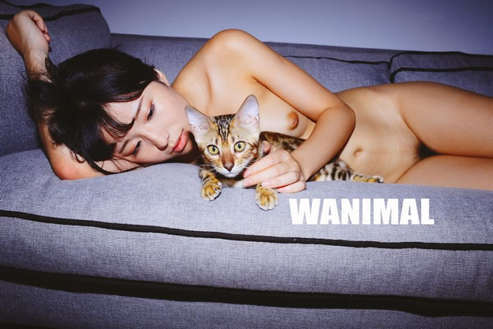 Wang Dong Wanimal officially produced in May VIP without holy light human body set 1 5