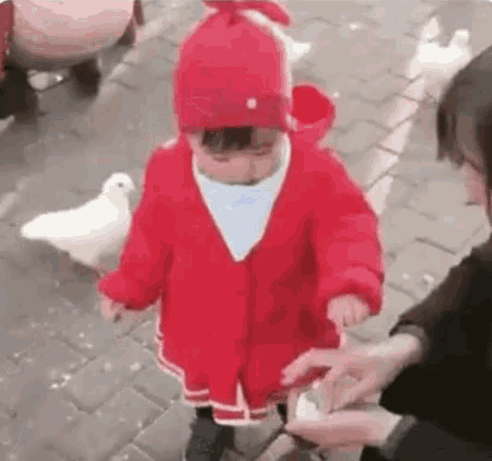 림 다목 스 오