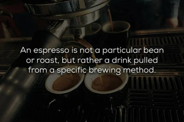 COFFEE FACTS VIRRgxHd_o