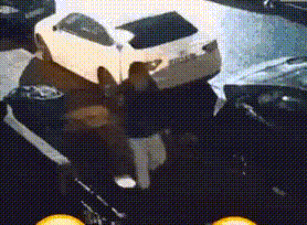 ASSORTED AWESOME GIFS 9 ZDI13R0P_o