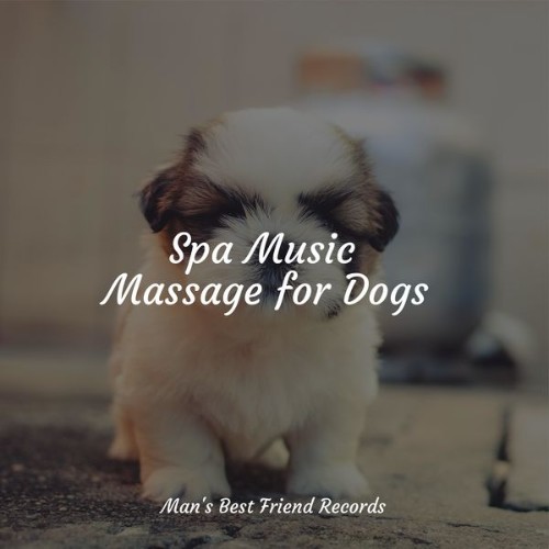 Dog Music - Spa Music Massage for Dogs - 2022