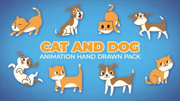 Cat And Dog - VideoHive 46358566