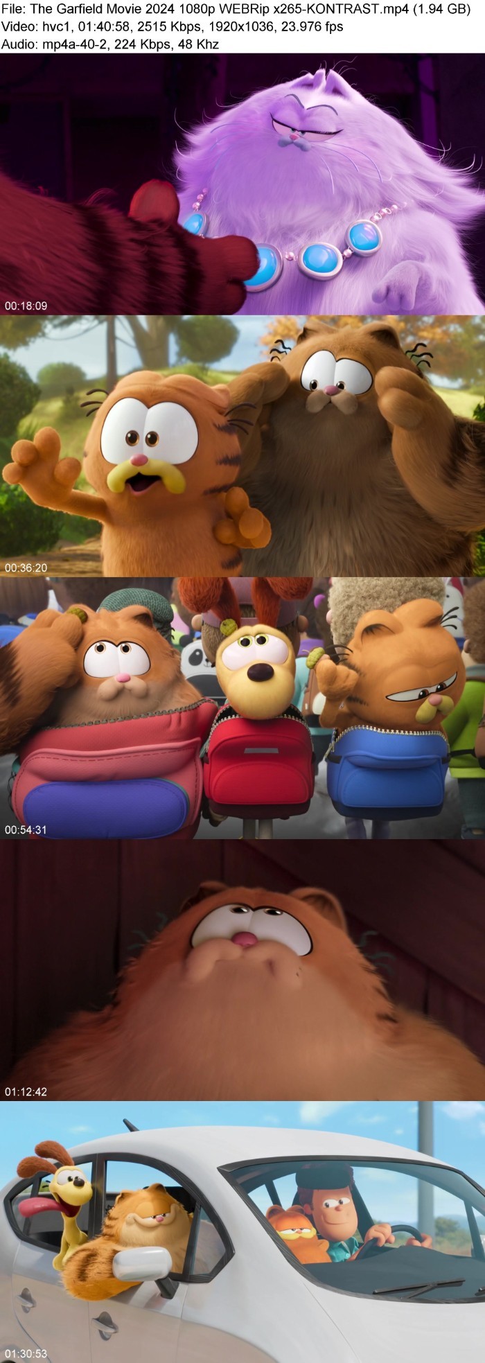 The Garfield Movie 2024 1080p WEBRip x265-KONTRAST MIhOY3En_o