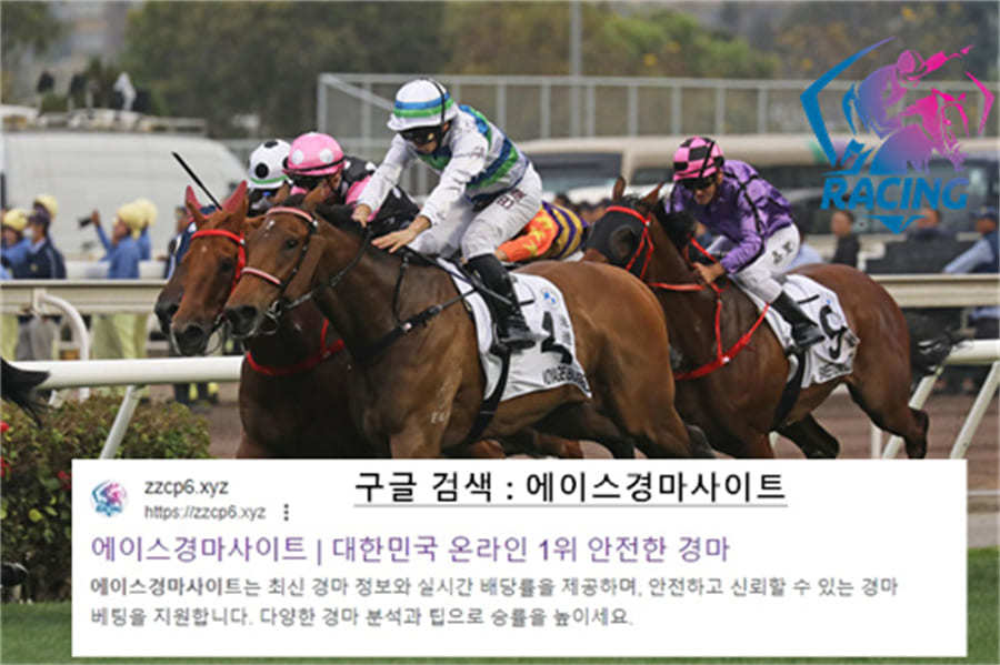 온라인 경마 시행