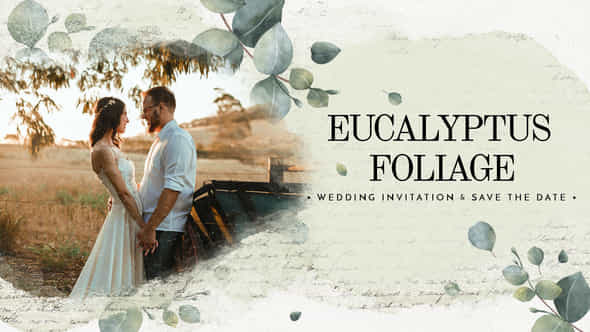 Eucalyptus Foliage Wedding - VideoHive 38337115