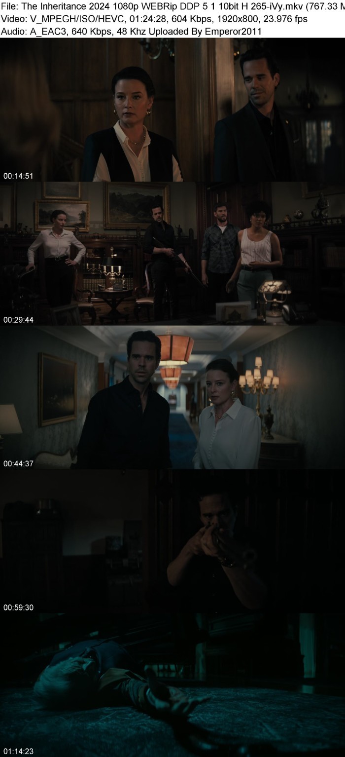 The Inheritance (2024) 1080p WEBRip DDP 5 1 10bit H 265-iVy 9UadPkkh_o