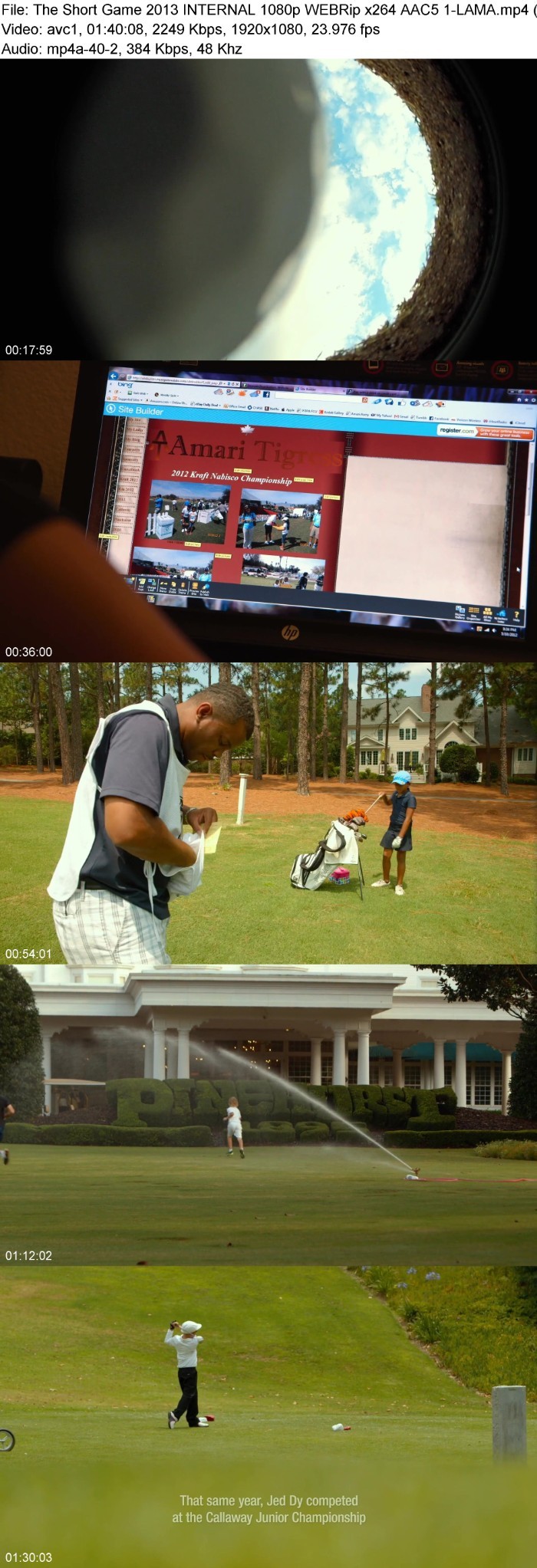 The Short Game (2013) INTERNAL 1080p WEBRip 5 1-LAMA Fnfo713A_o