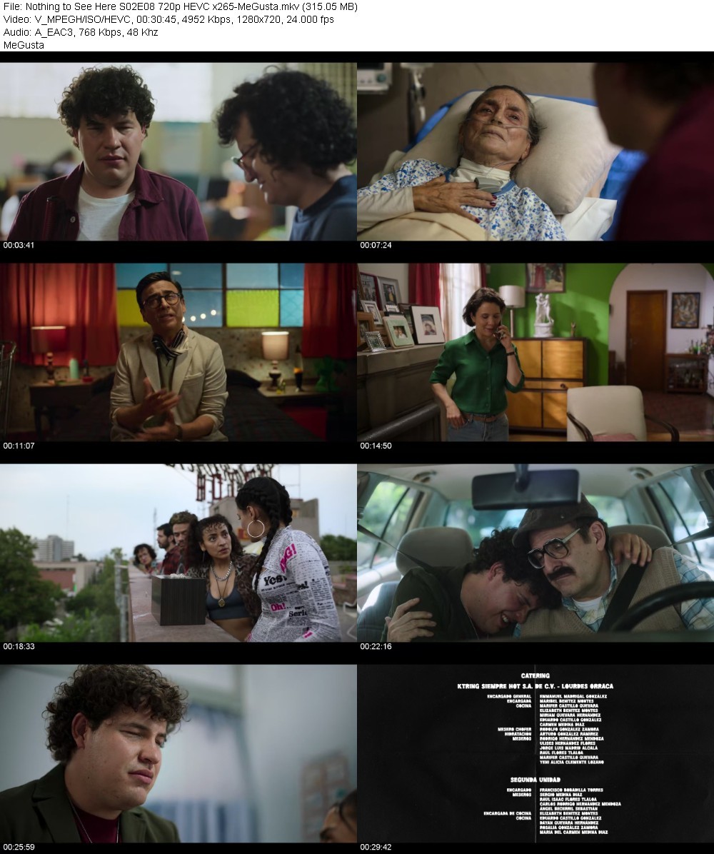 Nothing to See Here S02E08 720p HEVC x265-MeGusta