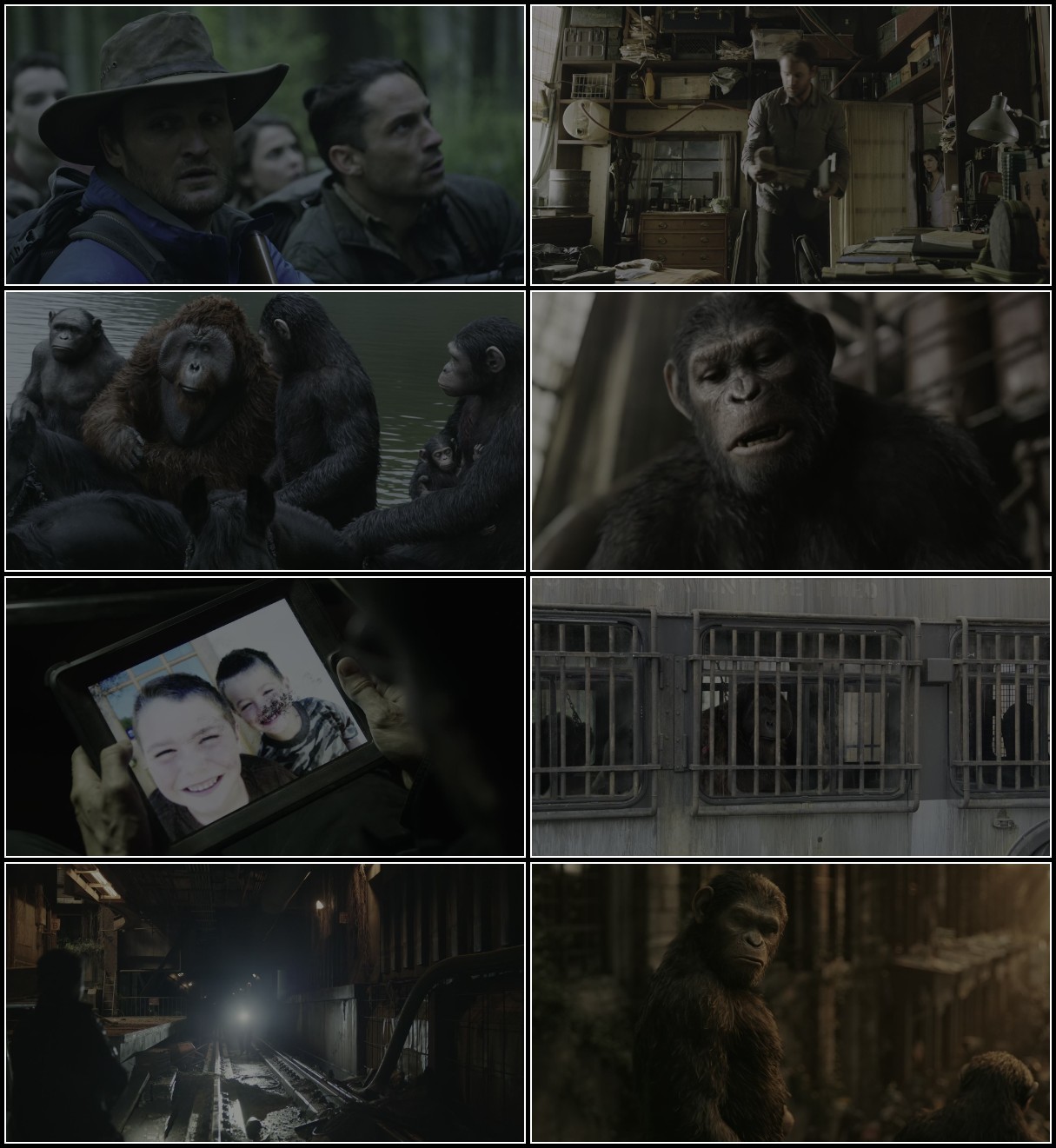 Dawn Of The Planet Of The Apes (2014) 1080p BluRay HEVC  x265 10-Bit DDP5 1 Subs K... Iva40Euv_o