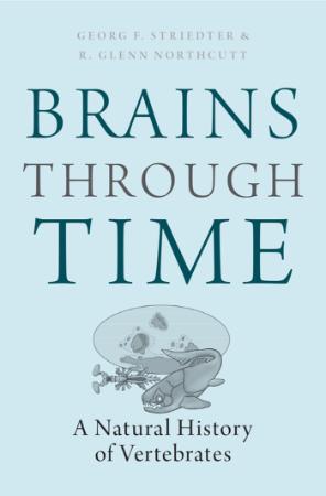 Brains Through Time   A Natural History of Vertebrates
