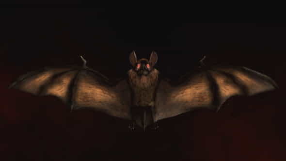 Halloween Bat Logo - VideoHive 24867159