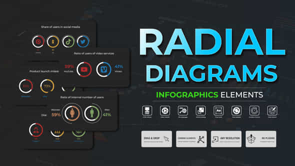 Infographic Radial Diagrams - VideoHive 51389888