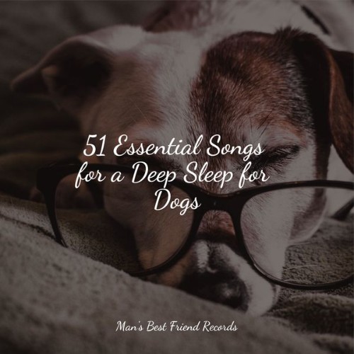 Sleeping Music For Dogs - 51 Essential Songs for a Deep Sleep for Dogs - 2022