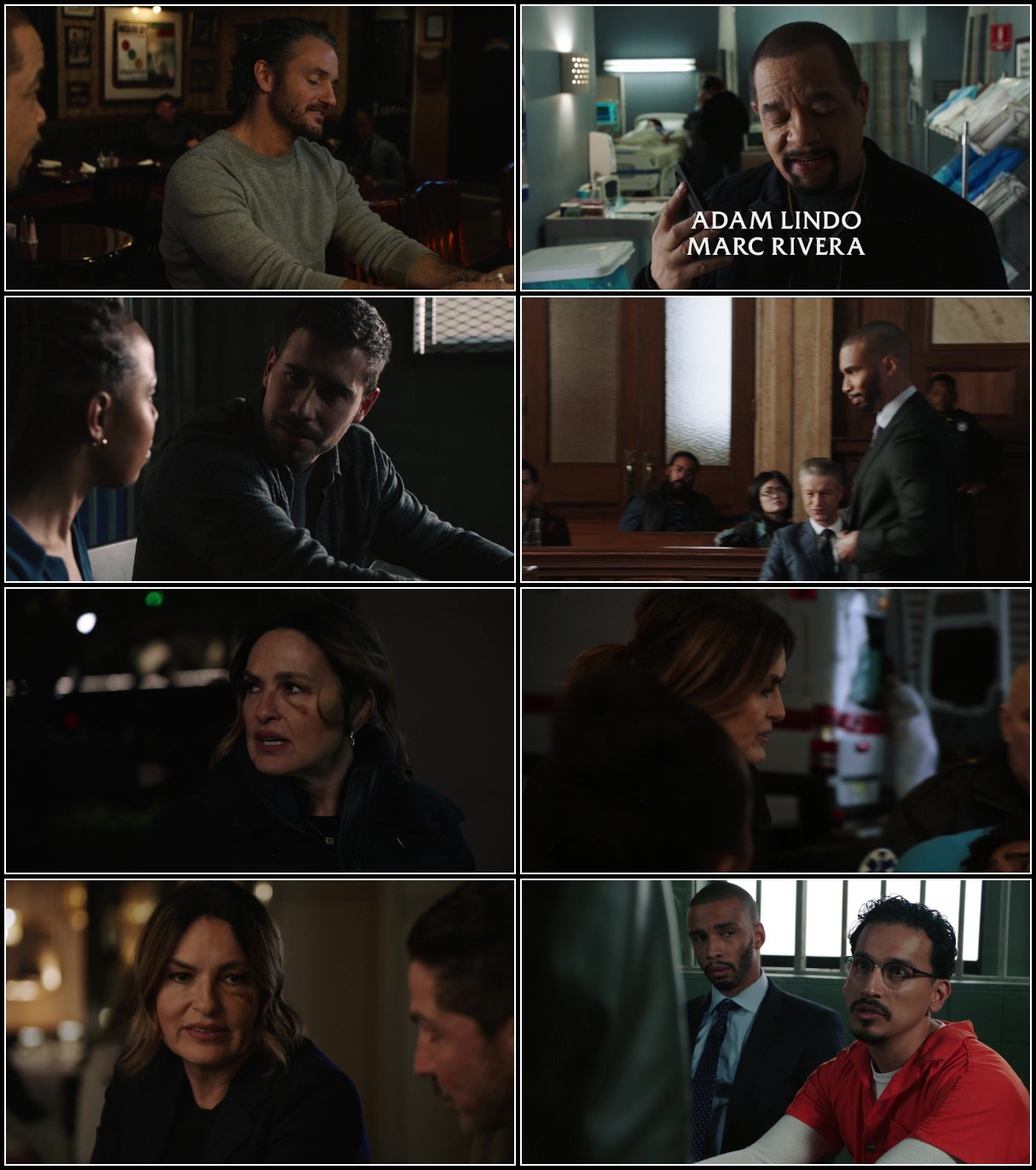 Law and Order SVU S24E12 1080p x265-ELiTE