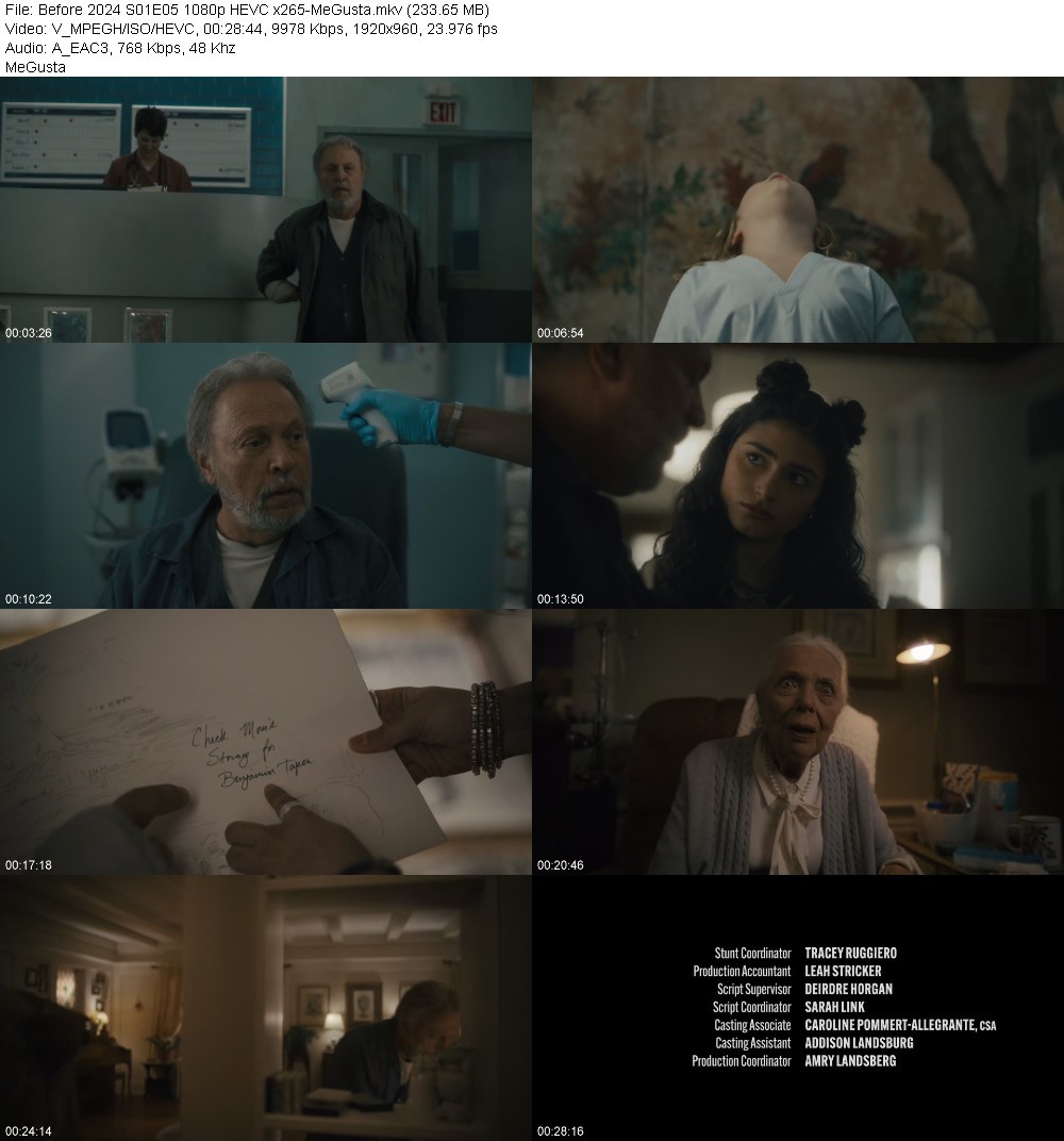 Before 2024 S01E05 1080p HEVC x265-MeGusta