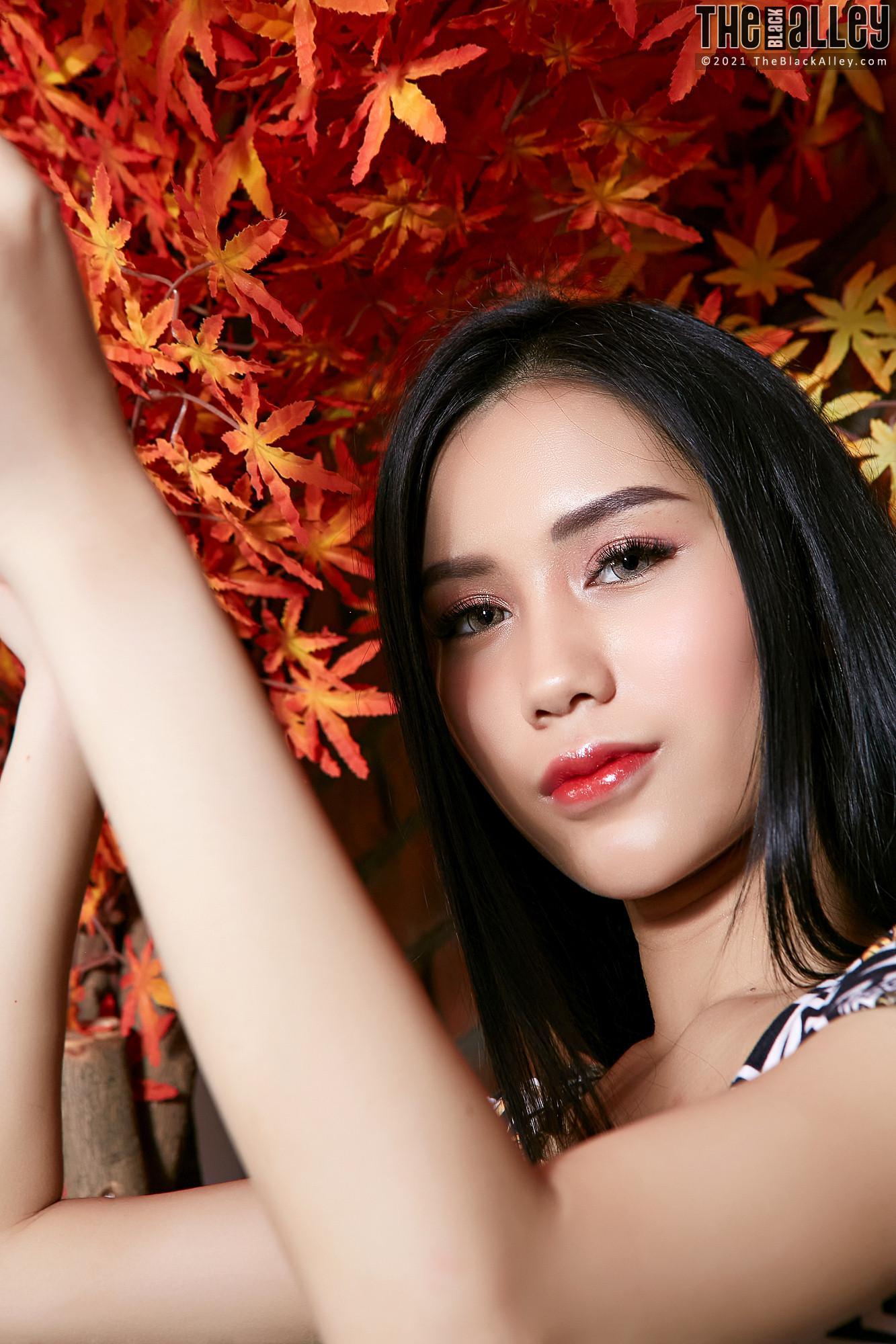 Evelynne The Black Alley Photobook Set.03(18)