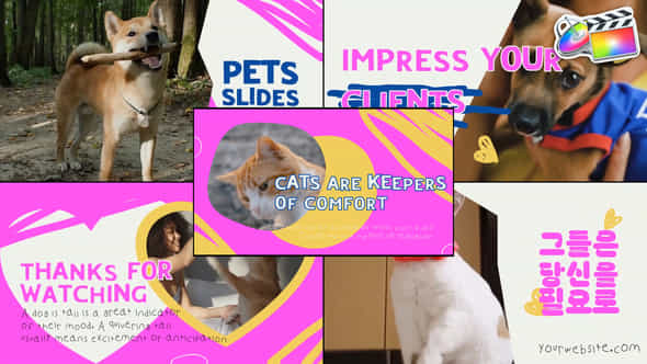 Slides Pets Fcpx - VideoHive 50893873