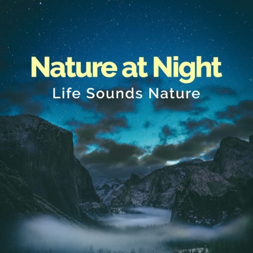 Life Sounds Nature - Nature at Night - 2019