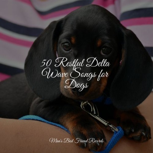 Calm Doggy - 50 Restful Delta Wave Songs for Dogs - 2022