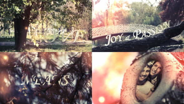Hollow Love - VideoHive 7743924