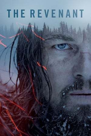 The Revenant 2015 720p 1080p BluRay