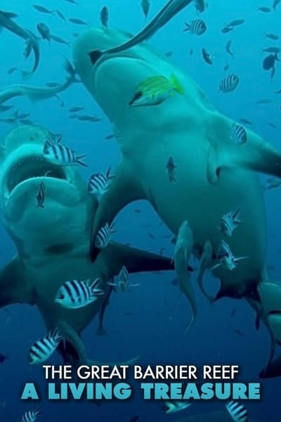 Great Barrier Reef A Living Treasure S01E01 1080p HEVC x265-MeGusta