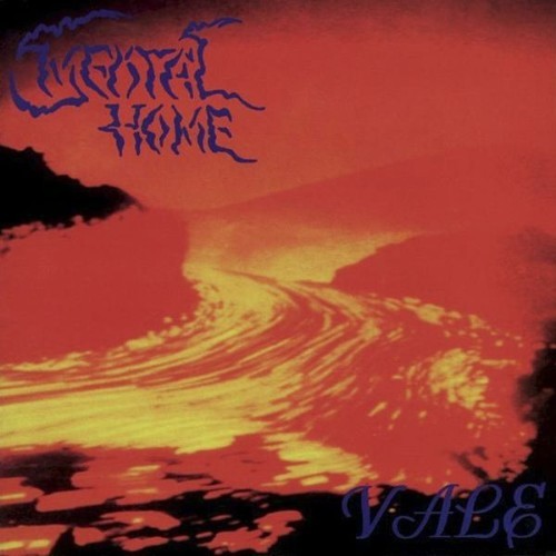 Mental Home - Vale - 1995