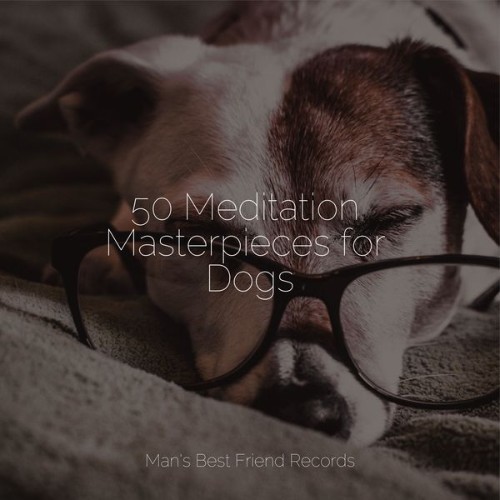 Official Pet Care Collection - 50 Meditation Masterpieces for Dogs - 2022