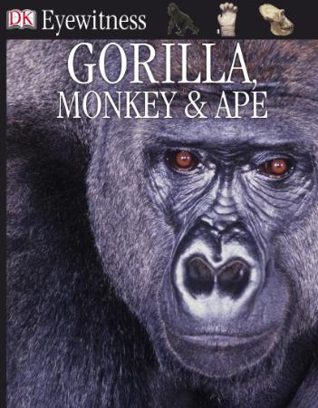 Gorilla, Monkey & Ape