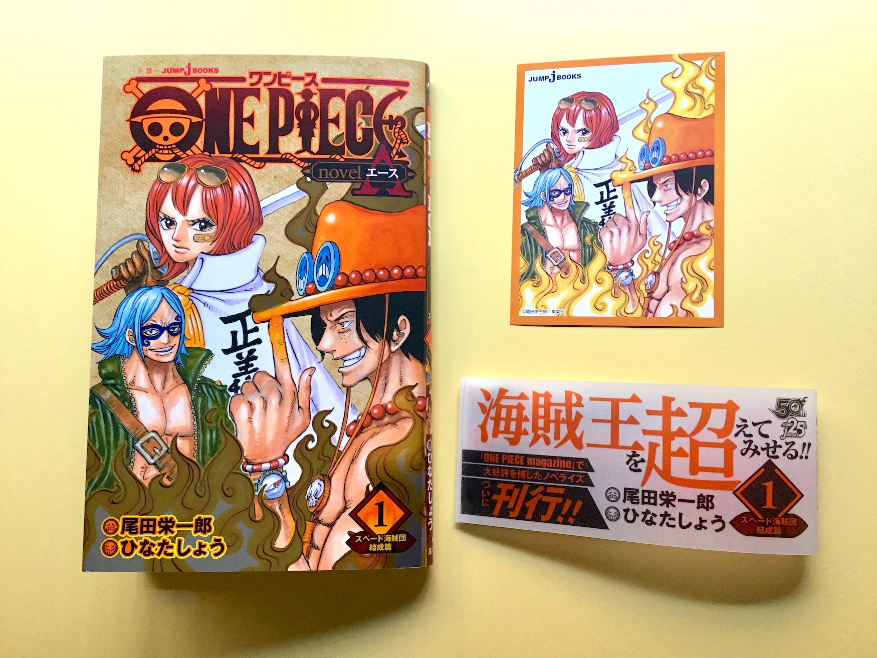 One Piece Collectibles New One Piece Novel One Piece Novel Ace Vol 1 Japanese Anime Zsco Iq