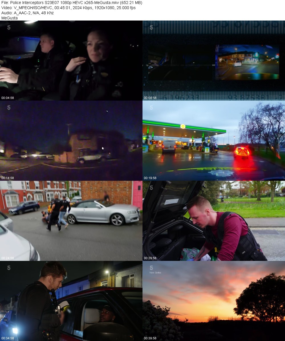 Police Interceptors S23E07 1080p HEVC x265-MeGusta