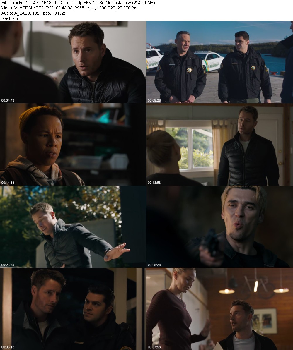 Tracker 2024 S01E13 The Storm 720p HEVC x265-MeGusta