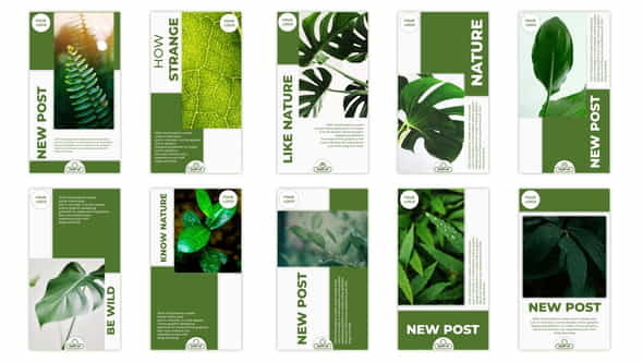 Nature Instagram Story Pack - VideoHive 32842412