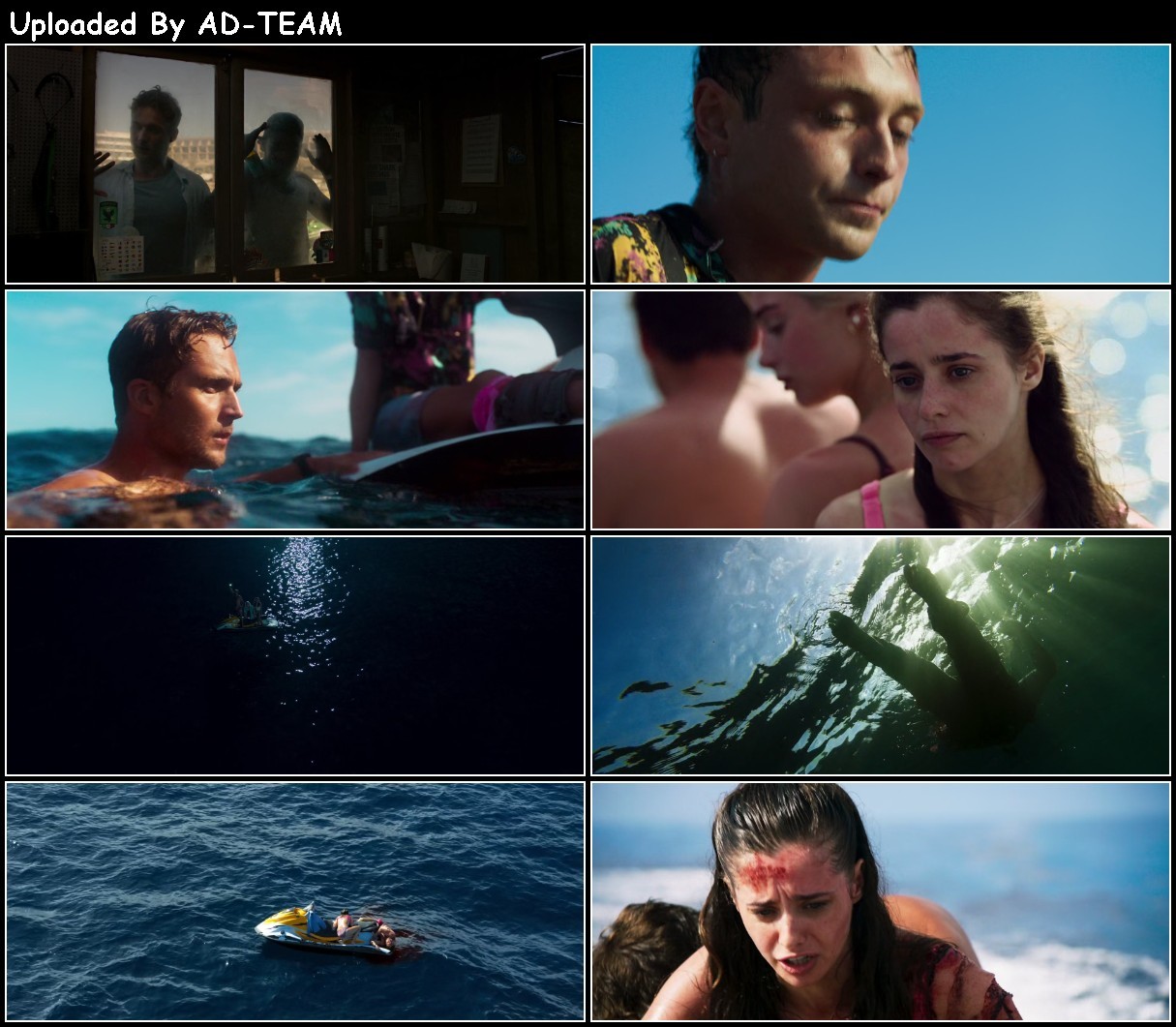 Shark Bait 2022 1080p WEBRip x265-RARBG LVF0VFLG_o