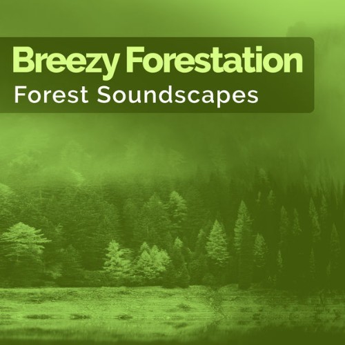 Forest Soundscapes - Breezy Forestation - 2019