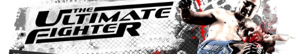The Ultimate Fighter S29E07 1080p WEB-DL H264 Fight-BB