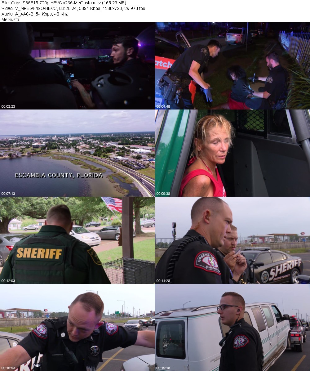 Cops S36E15 720p HEVC x265-MeGusta