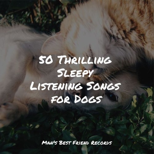 Music For Dogs Peace - 50 Thrilling Sleepy Listening Songs for Dogs - 2022