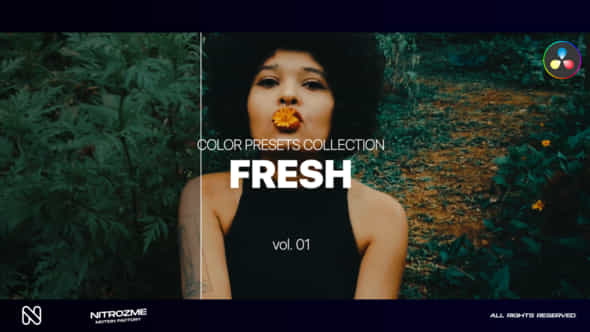 Fresh LUT Collection - VideoHive 47700621