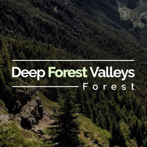 Forest - Deep Forest Valleys - 2019