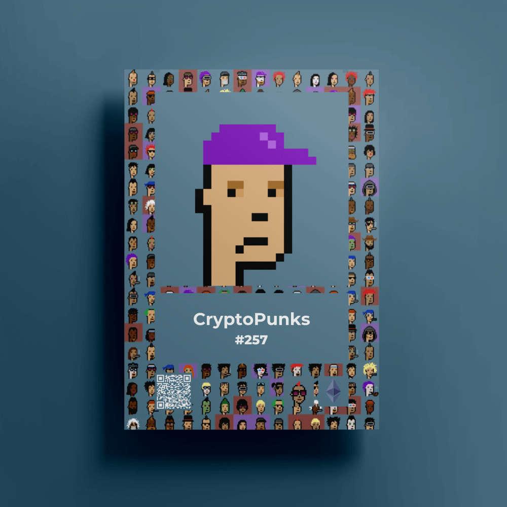 CryptoPunks #257 NFT Poster | NFT Posters