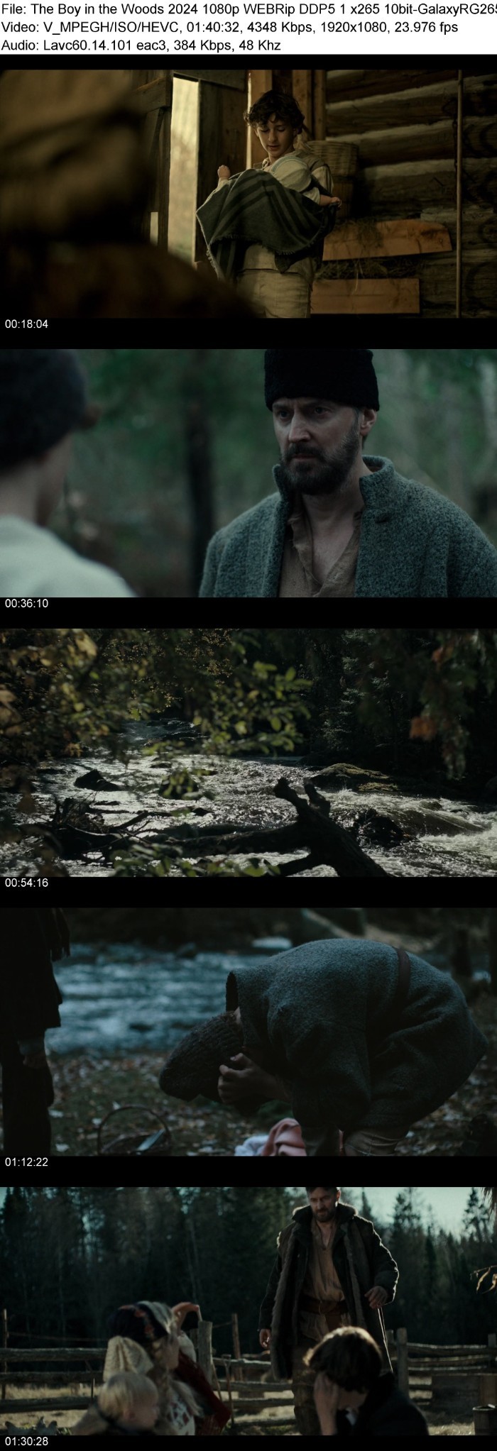 The Boy in the Woods (2024) 1080p WEBRip DDP5 1 x265 10bit-GalaxyRG265 RVyJR1xY_o