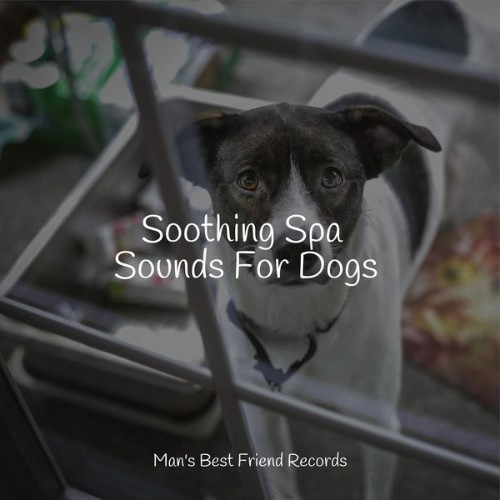 Music for Calming Dogs - Soothing Spa Sounds For Dogs - 2022